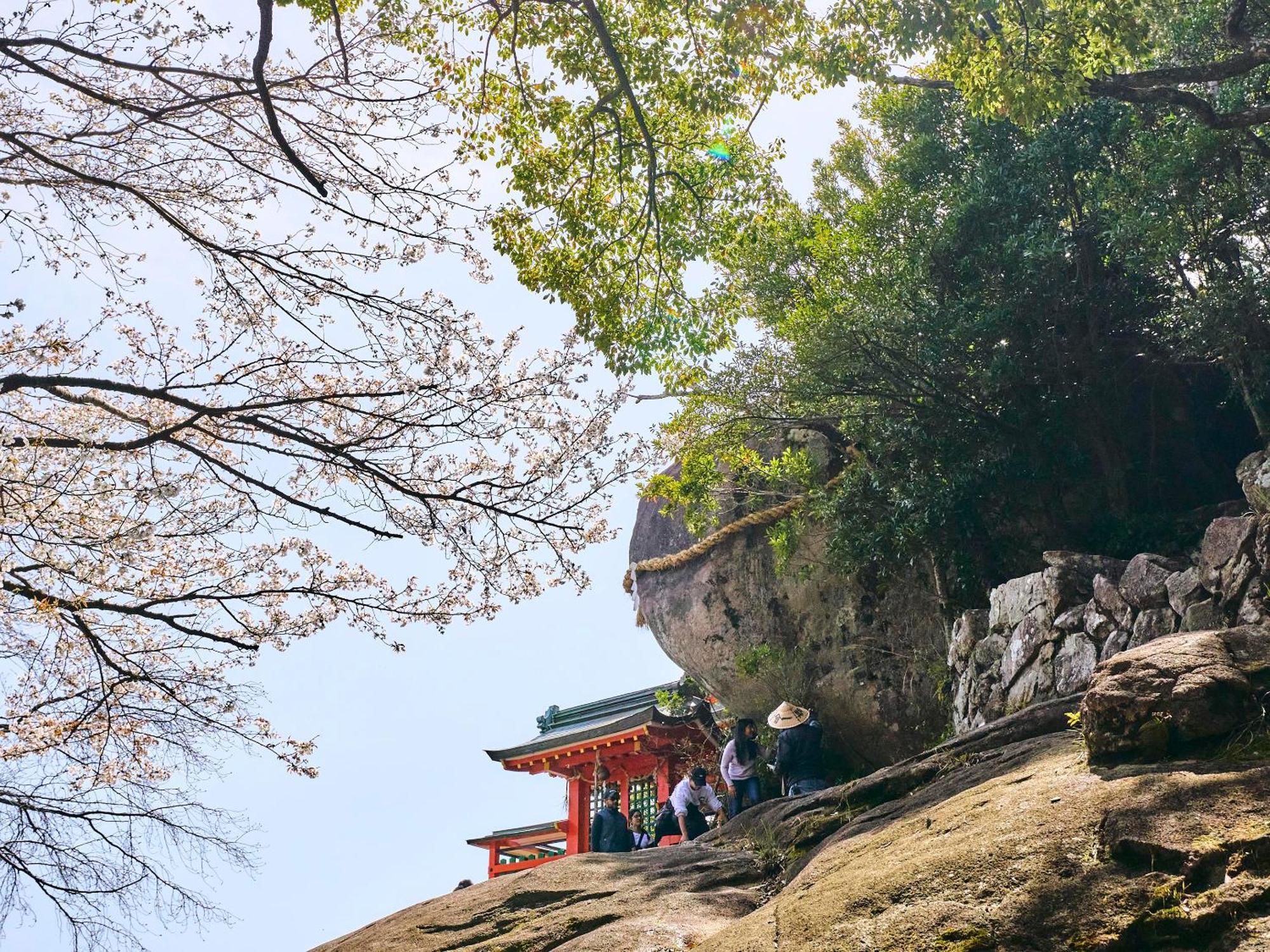Kokoyui Guesthouse Shingu Bagian luar foto