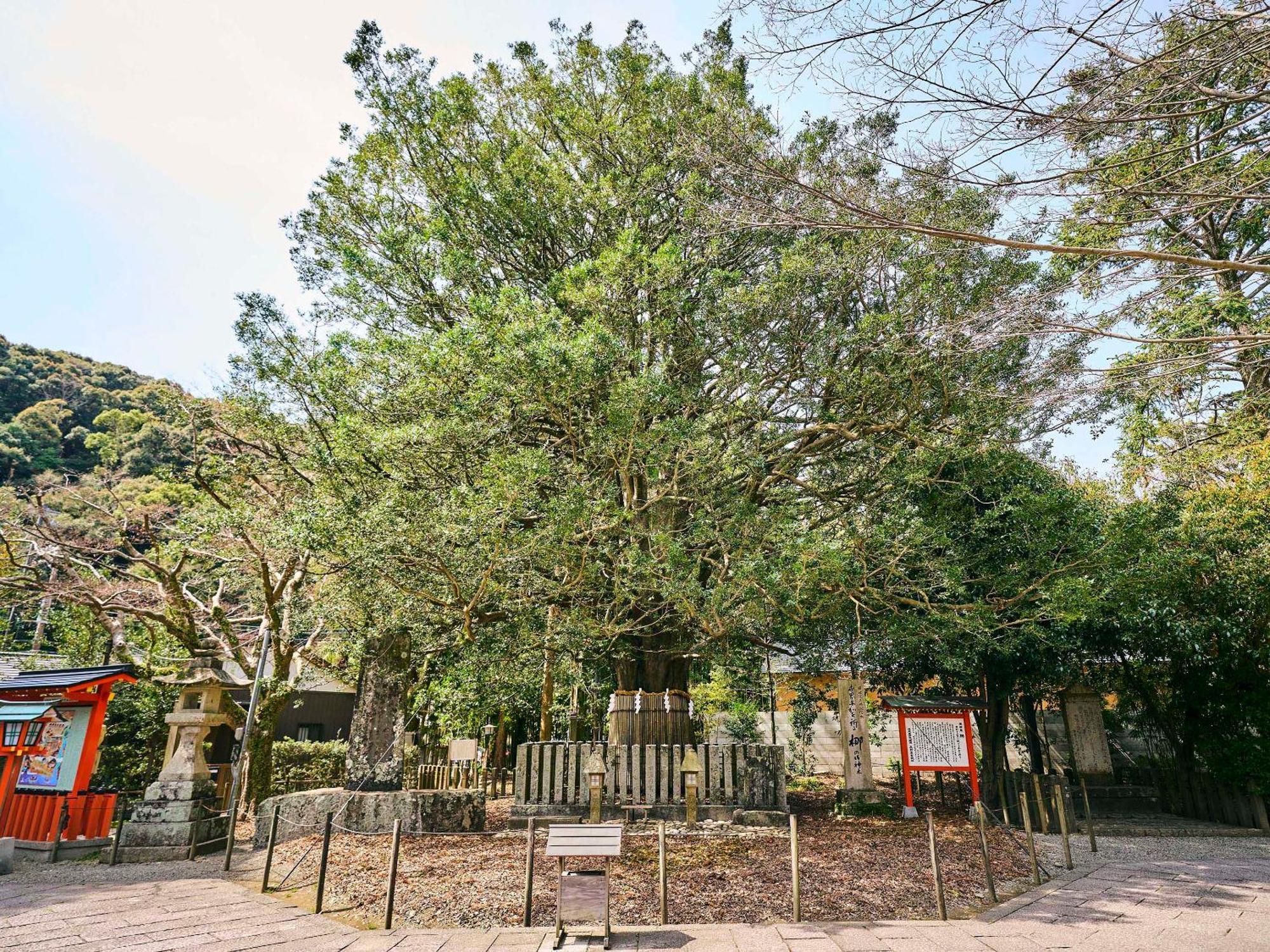 Kokoyui Guesthouse Shingu Bagian luar foto